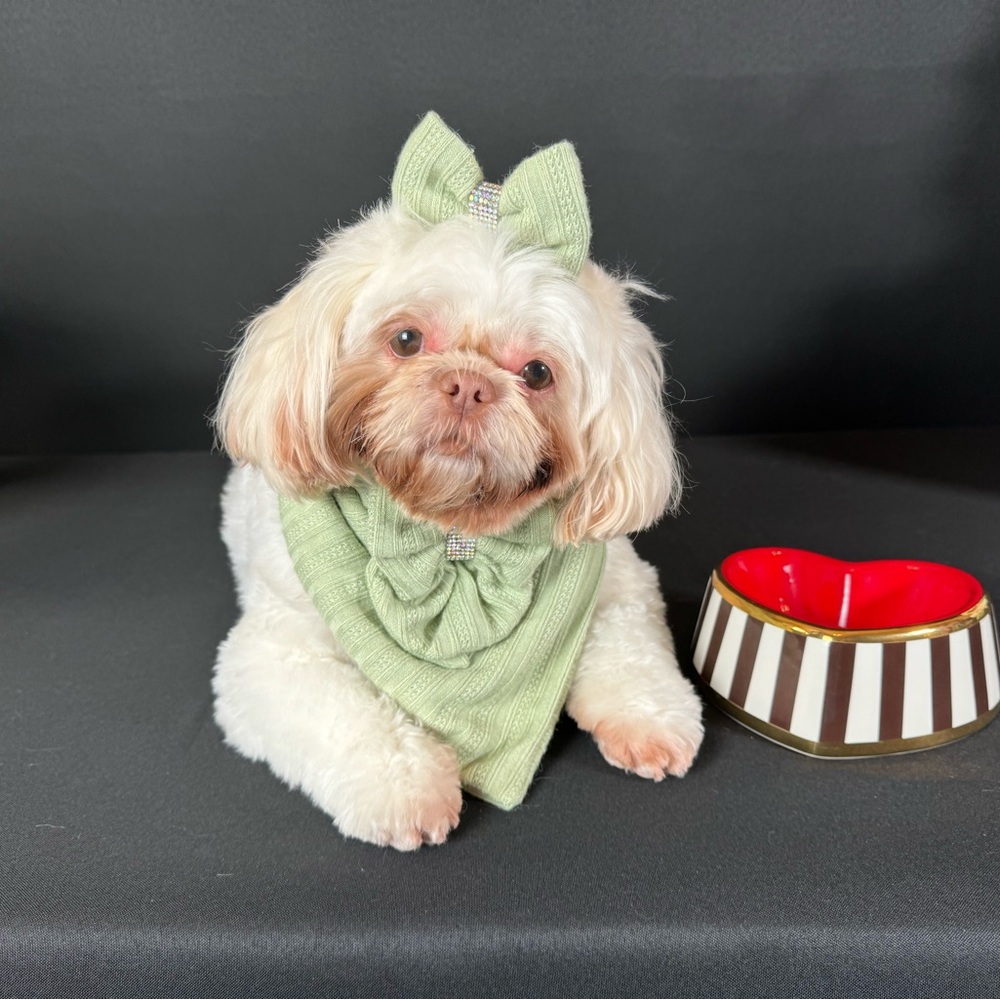 A puppy named Dior at Bendels